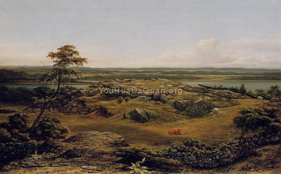 Rocks in New England - 马丁·约翰逊·赫德